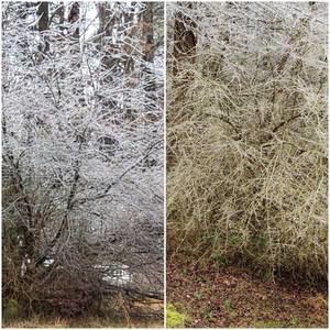 Meet your Posher, Joyce